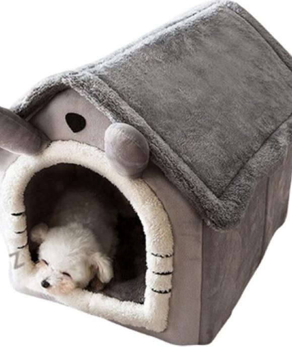 Katten en Honden Huis